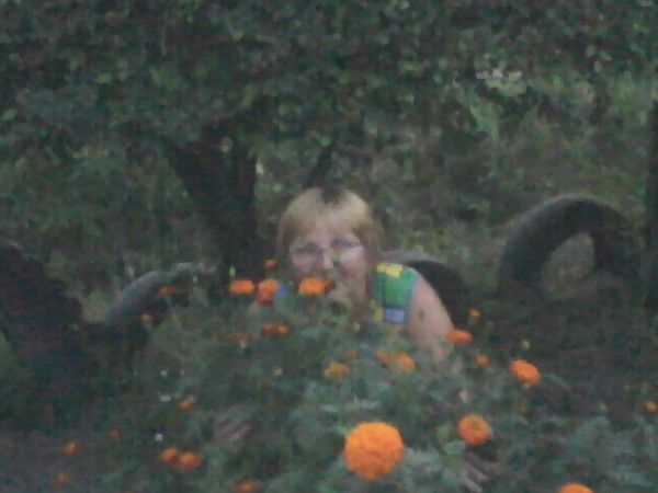 Галина Седаш