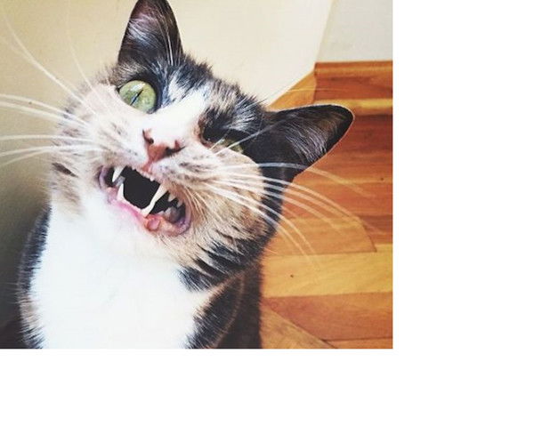 Игорь Аренко