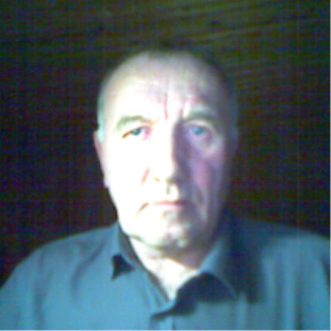 Александр Николаев