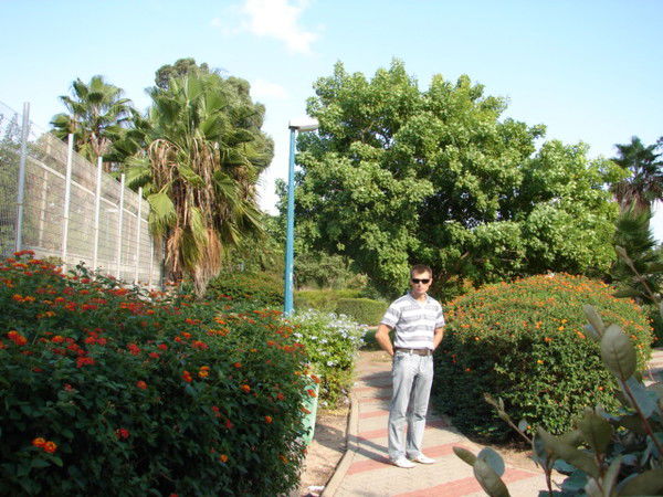 Евгений Сычев