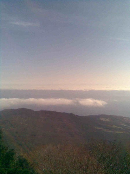 Ольга Климова