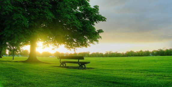 Дмитрий Мигунов