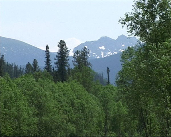 Мерген Салчак