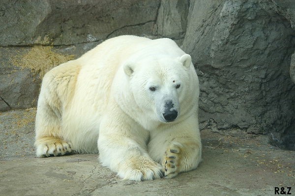 Муродали Шукуров