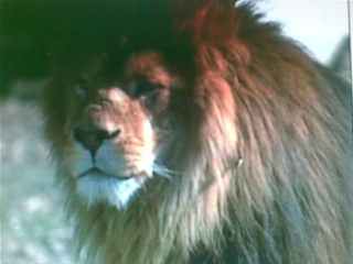 Юрий Рыбалкин