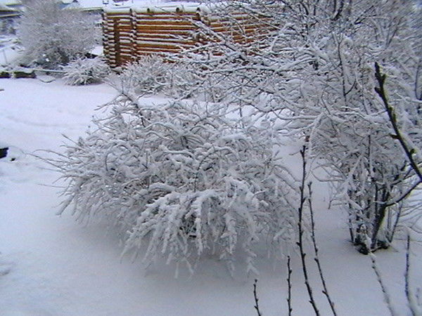 Алексей Вершинин