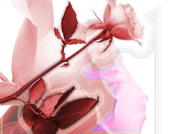 Резеда Ильясова