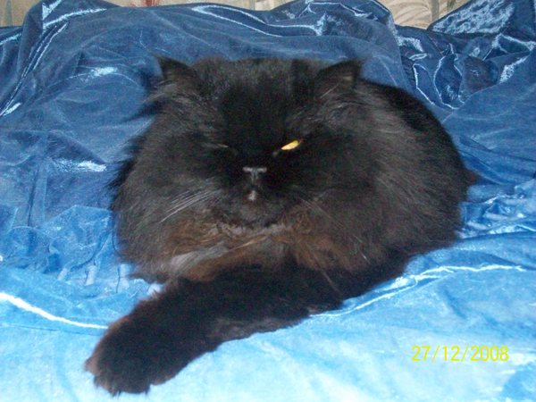 Ольга Рачук