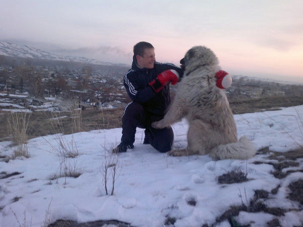 Дима Степанов