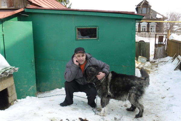 Андрей Сергеев