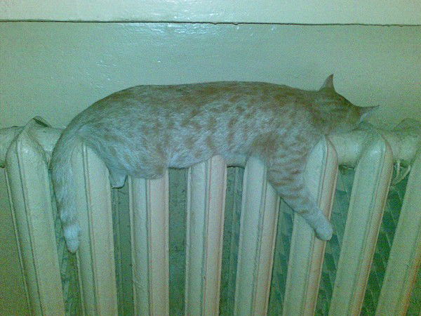 Кузик Борис