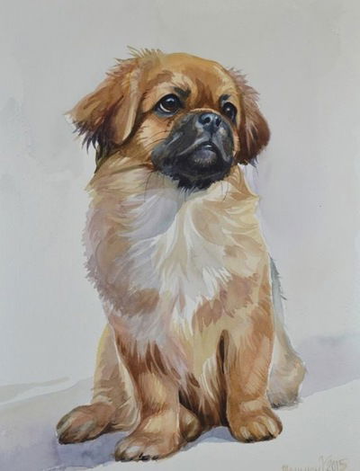 Ксения Хиврич