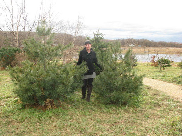 Ксения Головачева