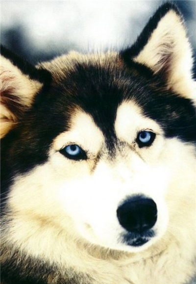 Максим Углинских