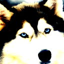 Максим Углинских