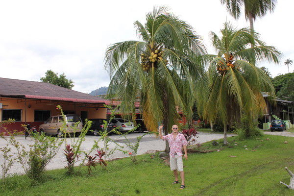 Mikha Сахалин