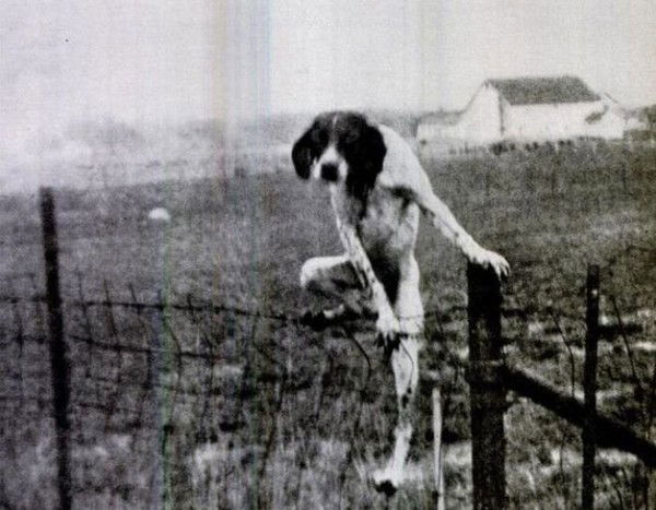 Михаил Котельников