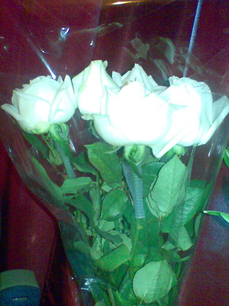 Ильмира Хайбрахманова