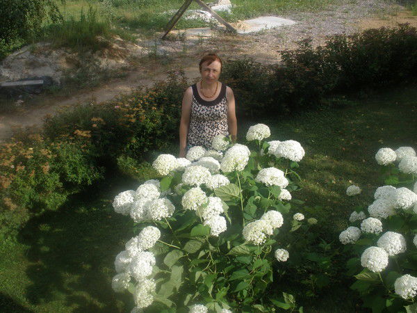 Ирина Брусникина