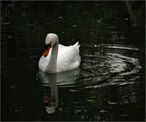 Гульшара Нургалиева