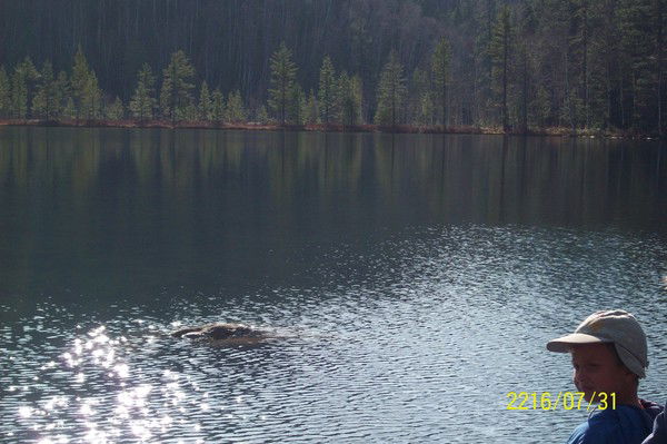 Татьяна Колосова