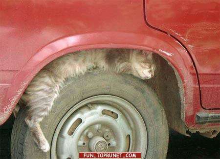 Константин Суслов