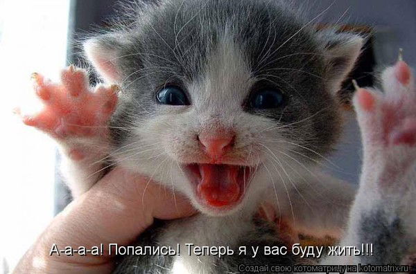 Даниил Беляев