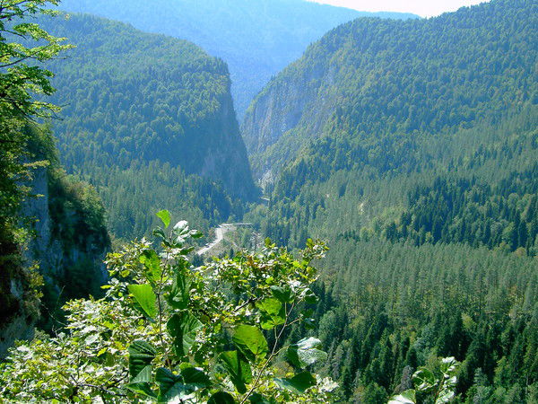 Сергей Родин