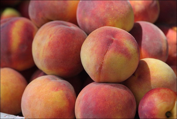 Катерина Солнце