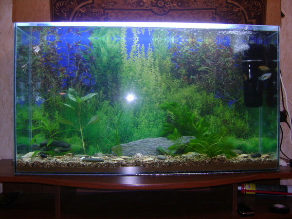 Валерий Порфёнов