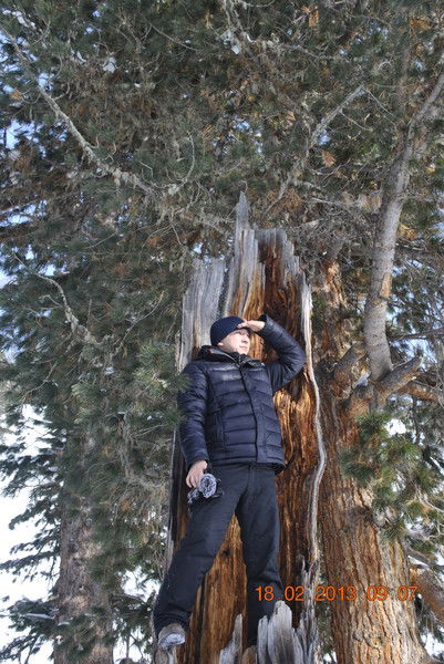 Тулеген Тулегенович