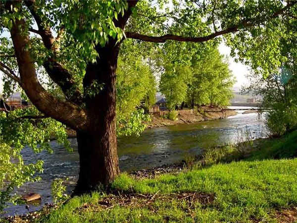 Валентина Осипенко