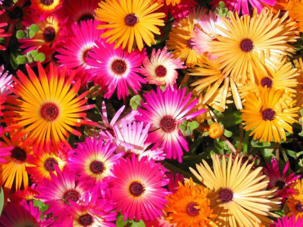 Баян Камитовна