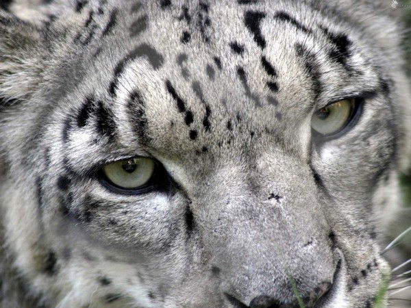 Малый И Средний Бизнес