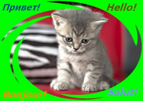 Незнакомка Я