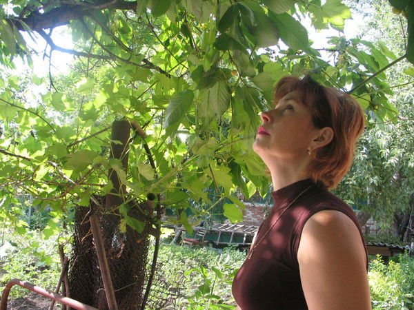 Виктория Печенежская