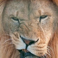 Эрвин Анкбазов