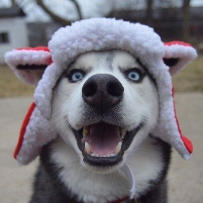 Максим Аксенов