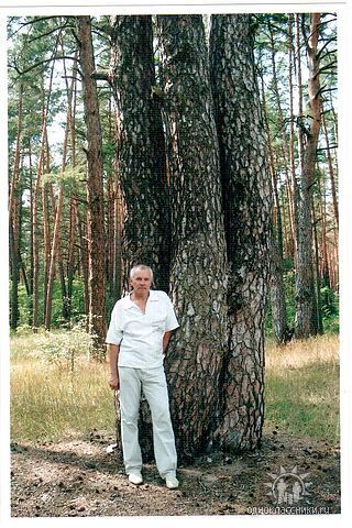 Павел Ястремский