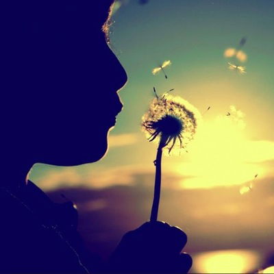 Елена Герман