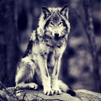 Султан Каргужинов