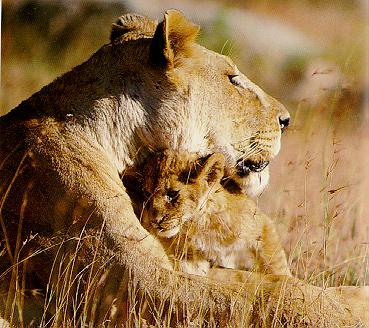 Светлана Гармаш