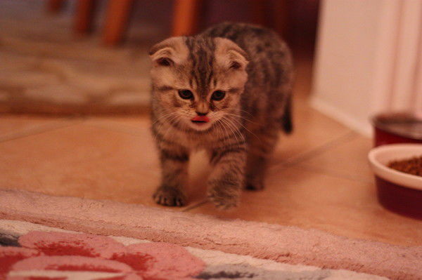 Надежда Пан