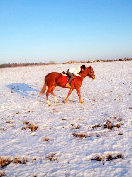Наталия Жарова
