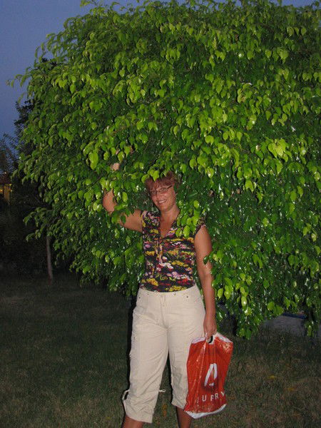 Елена Врублевская