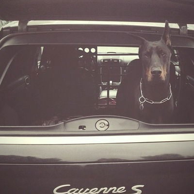 Данил Бычков