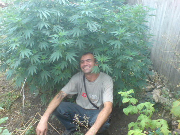 Вазген Саркисов