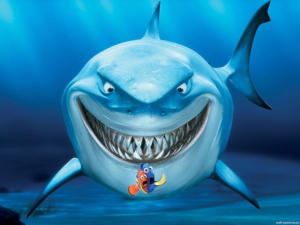 Андрей Соколов