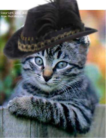 Евгений Романенков