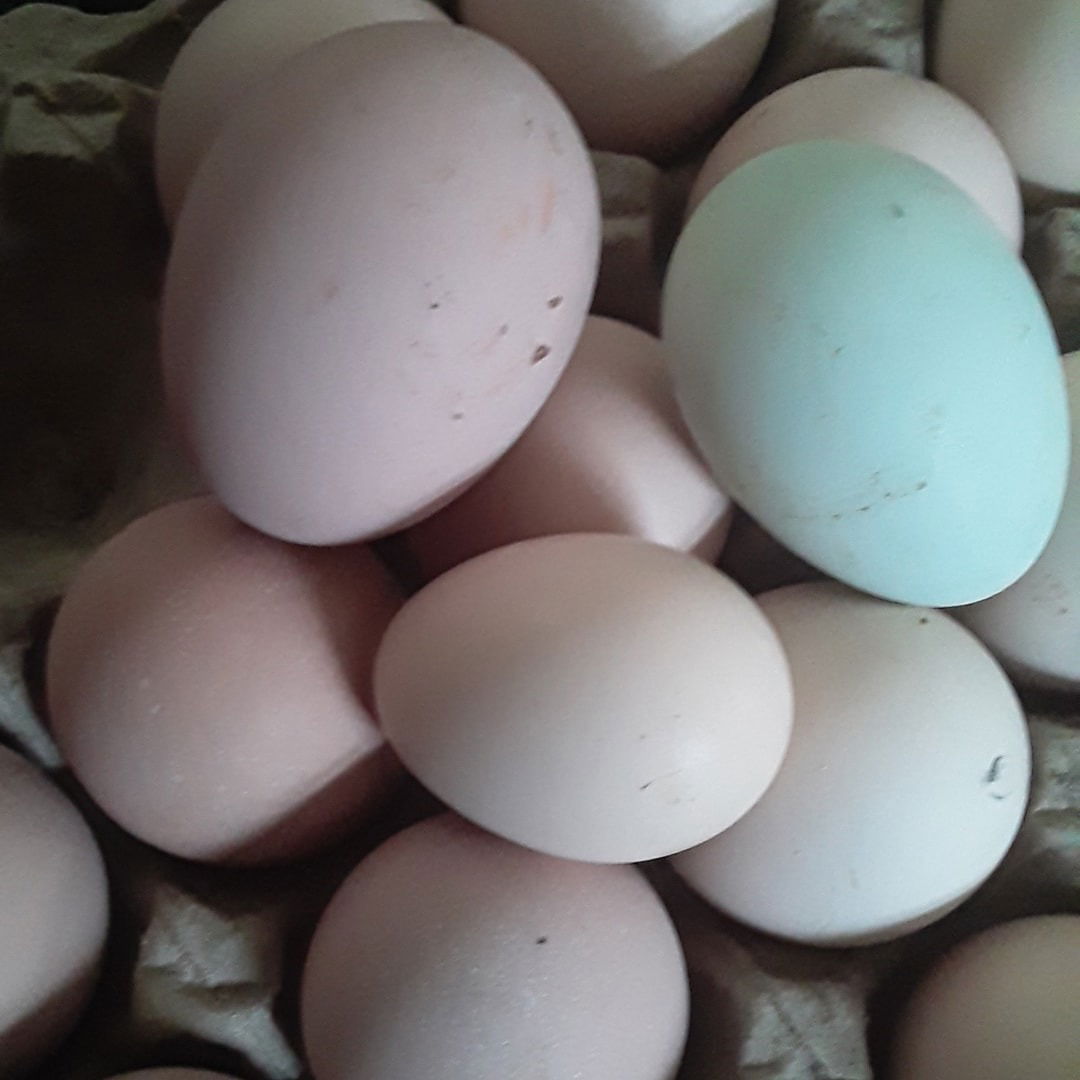 Женис Алдабергенов